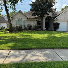 yard maintenance by B&D Painting and Handyman Services reviewed on August 20, 2025