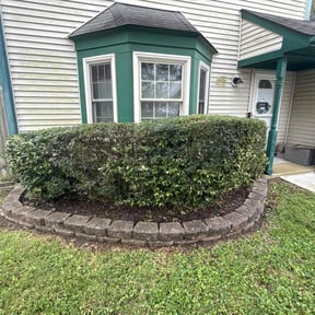 lawn maintenance by Tikitiki Garden Service reviewed on August 7, 2025