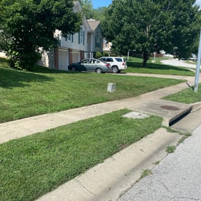 Bush Trimming by B&O lawn care reviewed on August 15, 2025