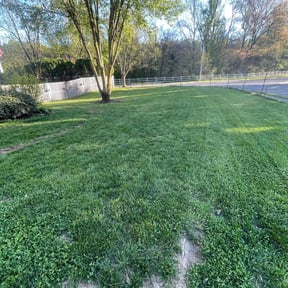 yard care by Serving reviewed on August 21, 2025