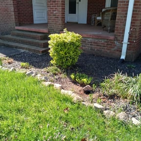 Bush Trimming by Silverback lawn service  reviewed on August 16, 2025