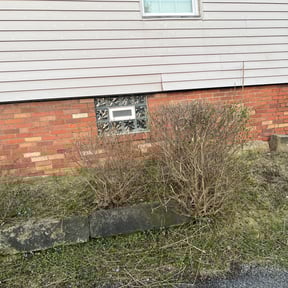 Bush Trimming by J &amp; F Landscaping LLC reviewed on October 23, 2025