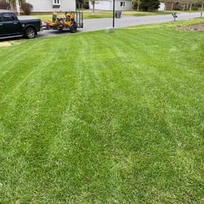 yard maintenance by Exceptional Lawns reviewed on December 14, 2025