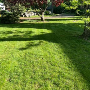 yard maintenance by Season To Season reviewed on August 20, 2025