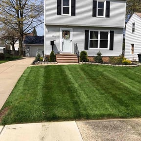 landscaping services by Sliced Lawn Care LLC reviewed on August 20, 2025