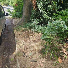 Flower Bed Weeding by Philadelphia Lawn Care reviewed on August 1, 2026