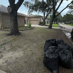 Leaf Removal by Dr. Green Lawn LLC reviewed on September 6, 2025