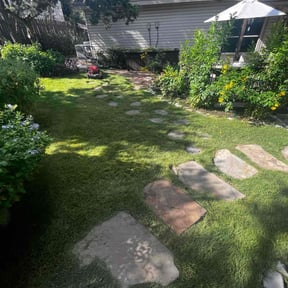 landscape maintenance by Young's Lawn Care Services reviewed on August 20, 2025