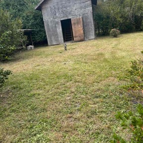 Leaf Removal by Norsemen Land and Lawn L.L.C. reviewed on September 25, 2025