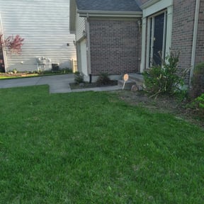 Bush Trimming by Swayze's landscaping services reviewed on August 17, 2025
