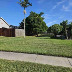 yard care by Spinelli Scenery Solutions LLC. reviewed on August 19, 2025