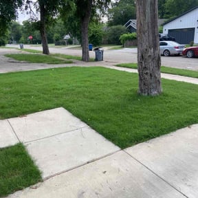 yard care by Giovanni 's lawn care and maintenance reviewed on August 17, 2025