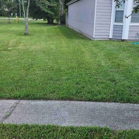 turf care by C&h lawn care reviewed on May 25, 2023