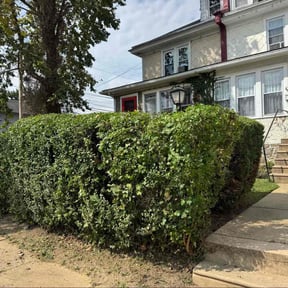 Bush Trimming by WRP Lawn Tech reviewed on November 23, 2025