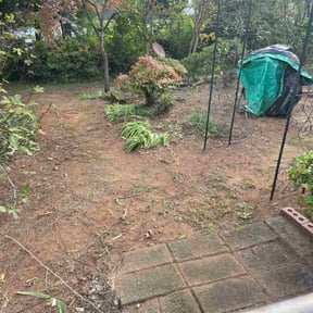 lawn maintenance by JPS Lawn Care Services reviewed on August 2, 2025