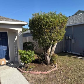 Bush Trimming by Lenard’s Lawn Care reviewed on June 24, 2021