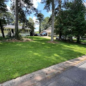 yard service by B&amp;W Services reviewed on July 23, 2025