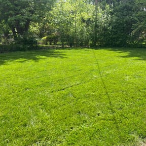 lawn care services by 121 successful solutions llc reviewed on May 9, 2024