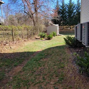 Leaf Removal by Terry Lawncare reviewed on August 18, 2025
