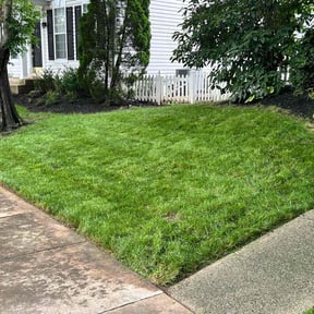 yard maintenance by Xtra Pair Of Hands reviewed on August 18, 2025