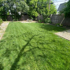 landscaping services by Diego Mojica Lawn Care reviewed on August 21, 2025