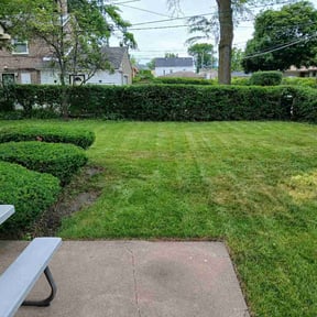 Bush Trimming by Spartanturf@yahoo.com reviewed on May 29, 2026