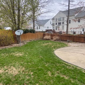 Leaf Removal by Midas Lawns reviewed on August 15, 2025