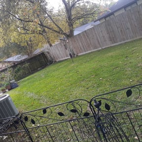 Leaf Removal by P Outdoor reviewed on August 21, 2025