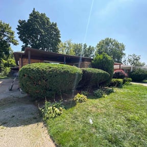 Bush Trimming by Berber Industries Landscaping reviewed on October 19, 2025