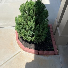 Bush Trimming by Positive Entergy reviewed on August 15, 2025