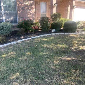 Bush Trimming by Lawncare By the beach reviewed on August 16, 2025