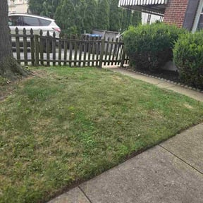 Bush Trimming by Lawn3x reviewed on September 13, 2026