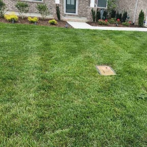 landscaping by Greene Family Lawncare reviewed on August 20, 2025