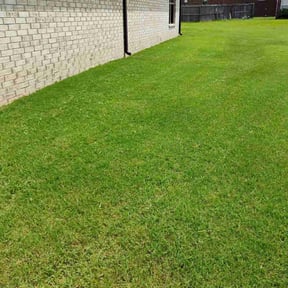 residential landscaping by Nature guy reviewed on August 17, 2025