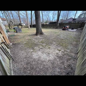 Leaf Removal by Roger waddle service llc reviewed on January 6, 2026