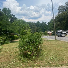 Bush Trimming by Honey Do’s Landscaping LLC reviewed on August 20, 2025