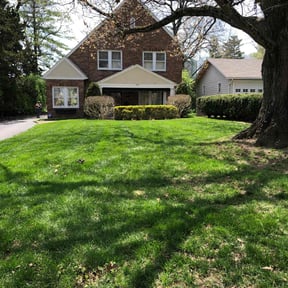 grass maintenance by Ricers Residential Services LLC reviewed on April 25, 2025