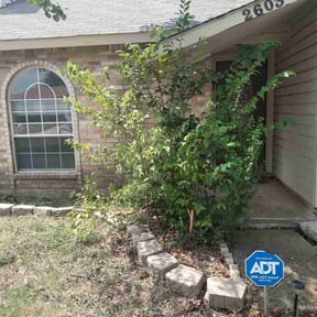 Leaf Removal by Chris’s Lawn Service reviewed on September 6, 2025