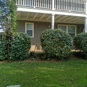 Bush Trimming by Valencia Landscaping reviewed on August 19, 2025