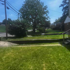 Bush Trimming by First Choice Landscaping of St Augustine reviewed on August 21, 2025