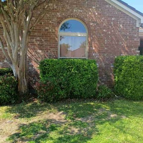 Bush Trimming by Adrian garcia reviewed on April 1, 2026