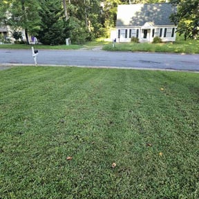 lawn service by Perspective Solutions LLC reviewed on September 2, 2023
