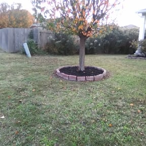 Flower Bed Weeding by A2Z Lawn Maintenance Inc. reviewed on August 19, 2025