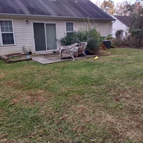 Leaf Removal by Troy Anderson Jr reviewed on September 30, 2025