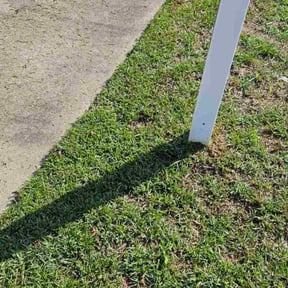 yard work by King of Lawn Care LLC reviewed on November 21, 2025