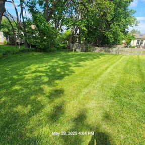 grass cutting by Weeds And Needs Lawncare reviewed on August 18, 2025