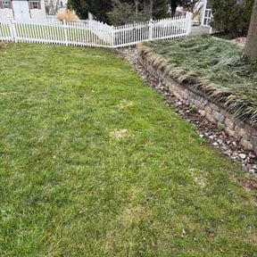 Leaf Removal by Chemen reviewed on August 19, 2026