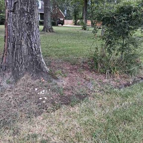 Flower Bed Weeding by Central Arkansas Remodeling Company (C.A.R. Co) reviewed on August 20, 2026