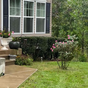 Bush Trimming by King of Lawn Care LLC reviewed on August 15, 2025