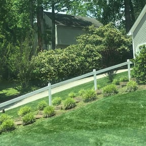 Bush Trimming by Agape Lawn & Outdoor Home Care LLC reviewed on August 13, 2025